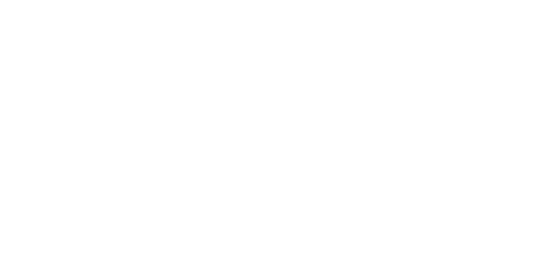Logo-Leiste_StadtNettetal